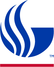 Georgia State University